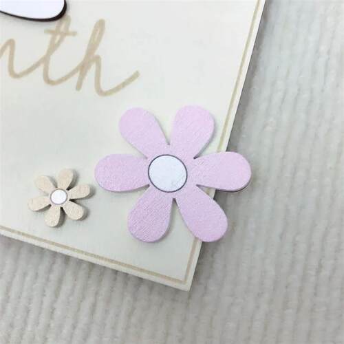 Girls Boys Newborn Photography Props Baby Milestone Photo Pr