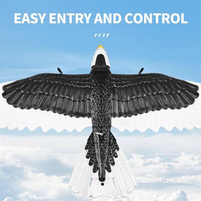 3CH Eagle RC Plane FX9651 Remote Control Airplane 578mm Wing