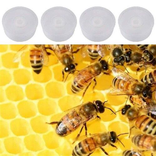 Bee Water Feeder Beehive Feeder Bee Nutrition Constant