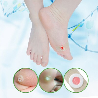 wish joom English-Chinese bilingual corn patch plaster 42pcs