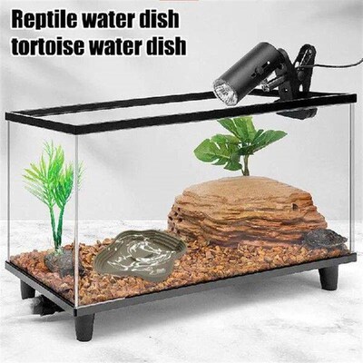 Water Dish For Reptile Tank Tortoise Bathing Pool Reptile