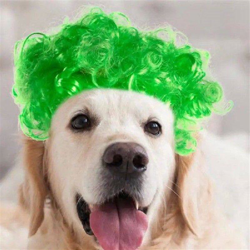 Green Cat Wig Headgear Apparel Toy Cat Dress Up Green Pet - 实物图