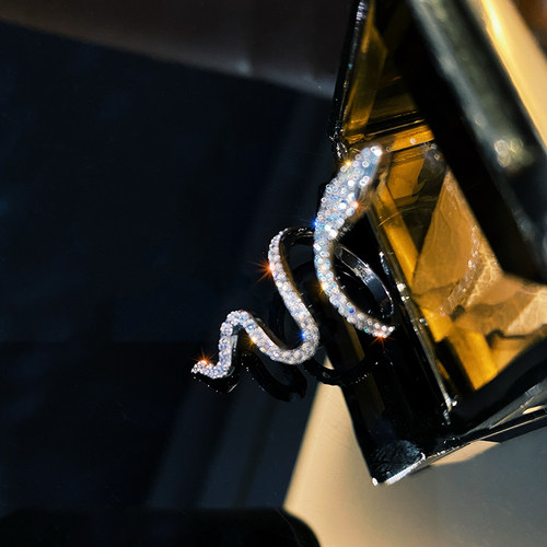 Fashion Sliver Color Cubic Zirconia Snake Ring for Women Ope