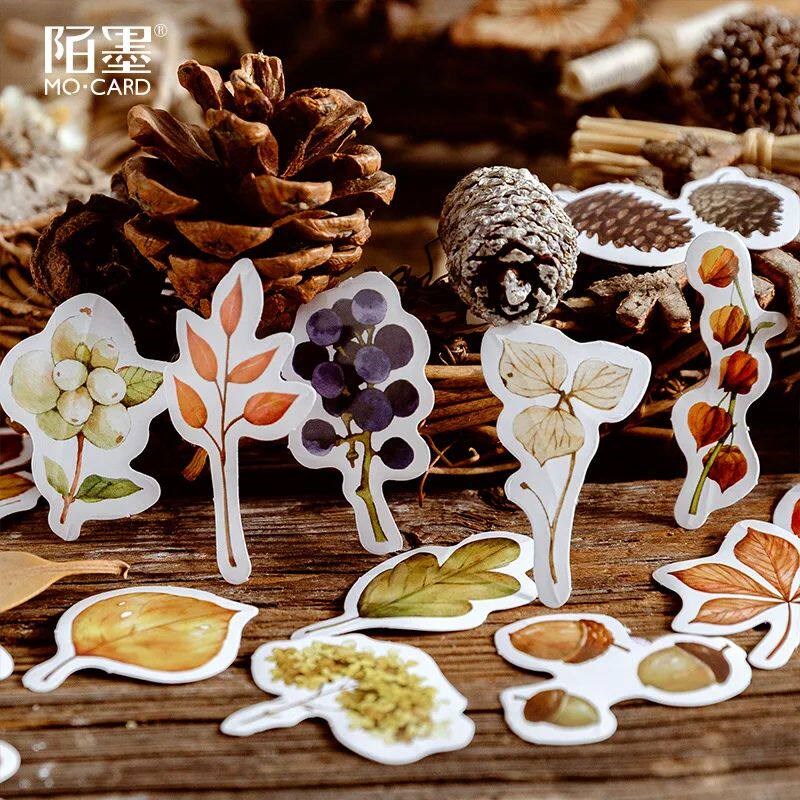 46 ps/lot Autumn Fallen leaves Plant Paper Small Diary  Cute图片