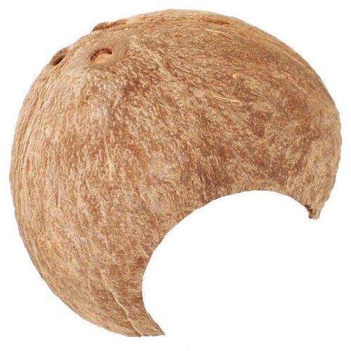 Coconut Hide Hideout House Leopard Gecko Humid Hermit Crab