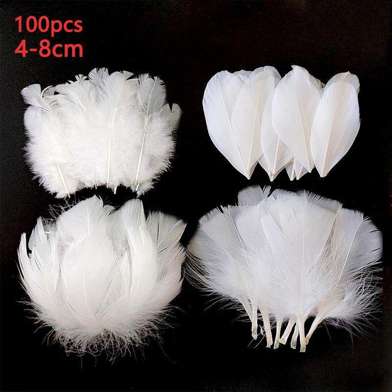 4-8cm Feathers Decoration White 100pcs Plumas For Crafts Sma图片