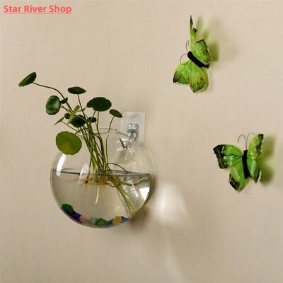 Transparent Glass Vase Wall Hanging Hydroponic Terrarium Fis