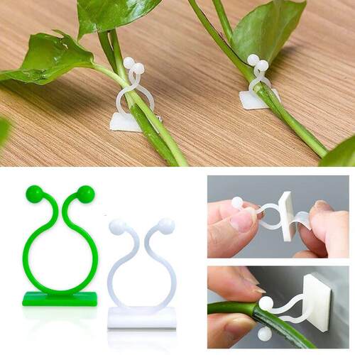 Plant Climbing Wall Self-Adhesive Fixed Buckle Hook Fastener