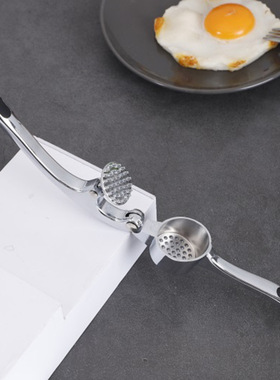 Garlic Press Crusher Ginger Squeezer Masher Handheld Mincer