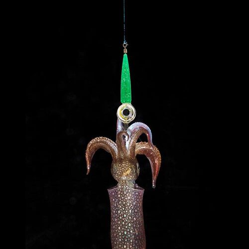 FIshing lures Light LED Deep Sea Glowing Luminous Cuttlefish