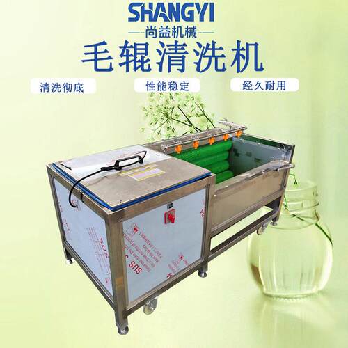 全自动黄精清洗机材毛辊式洗机饮片加工用毛刷清洗设备