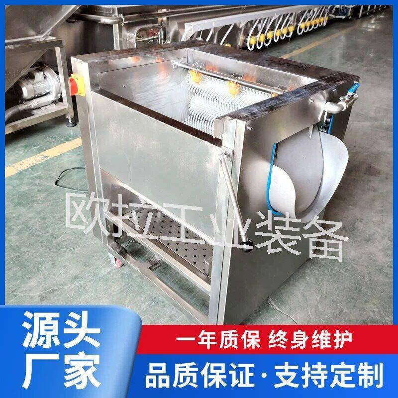 芋头花生洗泥去皮设备红薯全自动毛辊清洗机海产品扇贝去泥机