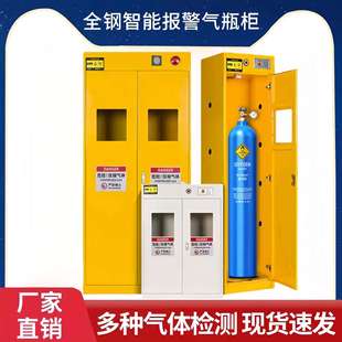 实验室全钢气瓶安全柜单瓶三瓶带智能报警排风危险气体钢瓶储存柜