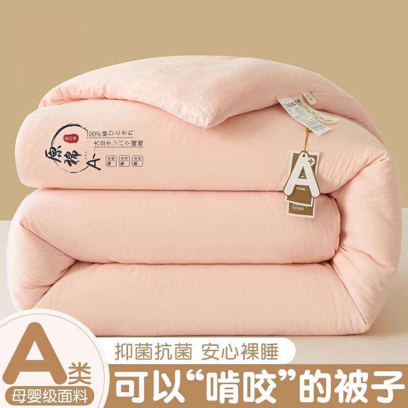 冬季大豆纤维被子冬被加厚保暖被芯学生宿舍棉被单人春秋四季通用,3C数码配件,其它配件,淘宝优惠券,粉丝福利购,淘宝优惠卷