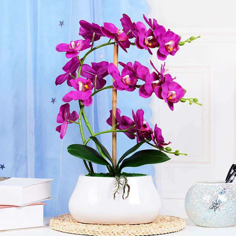 蝴蝶兰仿真花套装假花绢花塑料花盆景家居客厅茶几电视柜装饰摆设,3C数码配件,其它配件,淘宝优惠券,粉丝福利购,淘宝优惠卷