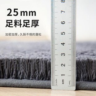 door toilet dry carpets bathroom MATS mat quick