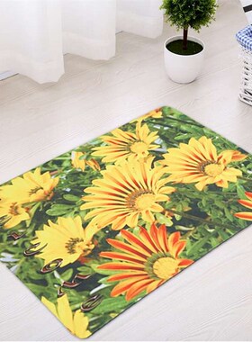 Non slip mat Doorway carpet rubber floor mat bathroom absorb
