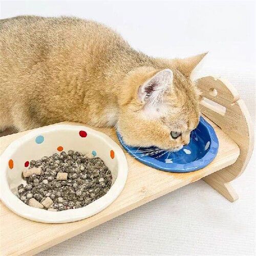 Non Slip Cat Dog Food Water Bowl Holder All in One Anti Tip