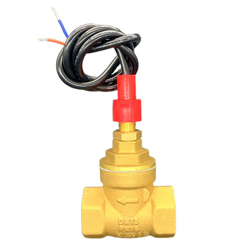 水流开关挡板式DN15 分干簧管感应缺水保护流量感应器