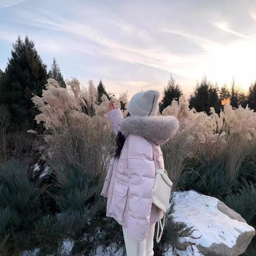 2025秋冬季新款连帽大毛领工装