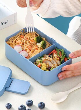 METKA Picnic Lunch Box Magic 3in1 Double Layer Microwavable