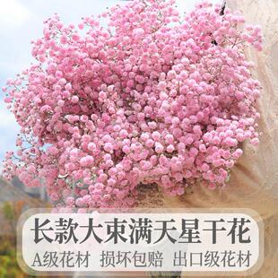 云南超大束满天星干 干燥花花束落地真花带花瓶天然风干 干客厅装