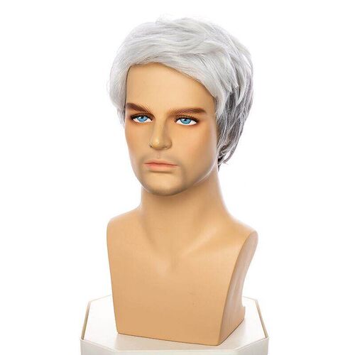 Wig Mens Wig Middle-aged And Elderly Gray Partial Short Hai