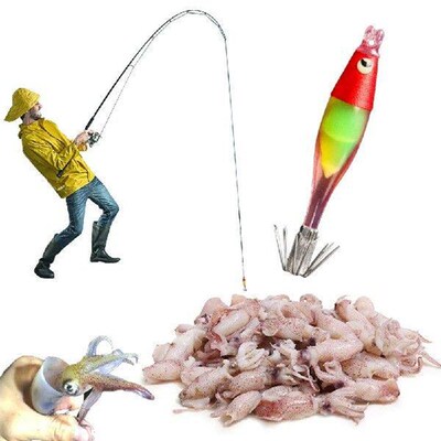 Luminous UV Blowing Tube Fishing Lure Squid Hook Jig Wood
