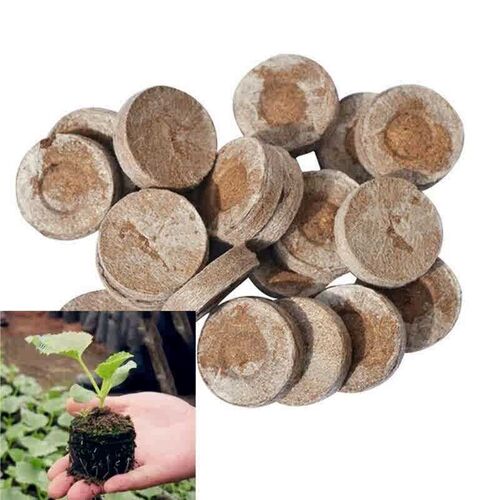 20 Cells Seedling Trays Seed Starter Box Plant Flower Grow