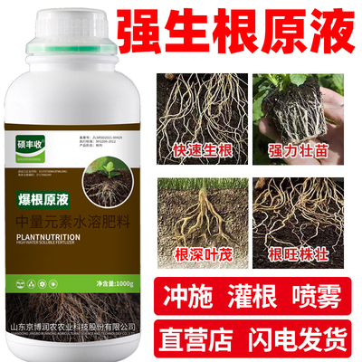 硕丰收生根液生根壮苗剂果树蔬菜栽育苗强发根壮根提苗剂叶面肥