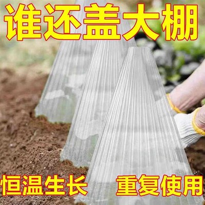 Vegetable plant cover for seedlings, young melon and vegetab