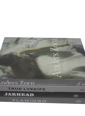 极简装饰样板房艺书籍酒店摆设售楼处道具书摆件书