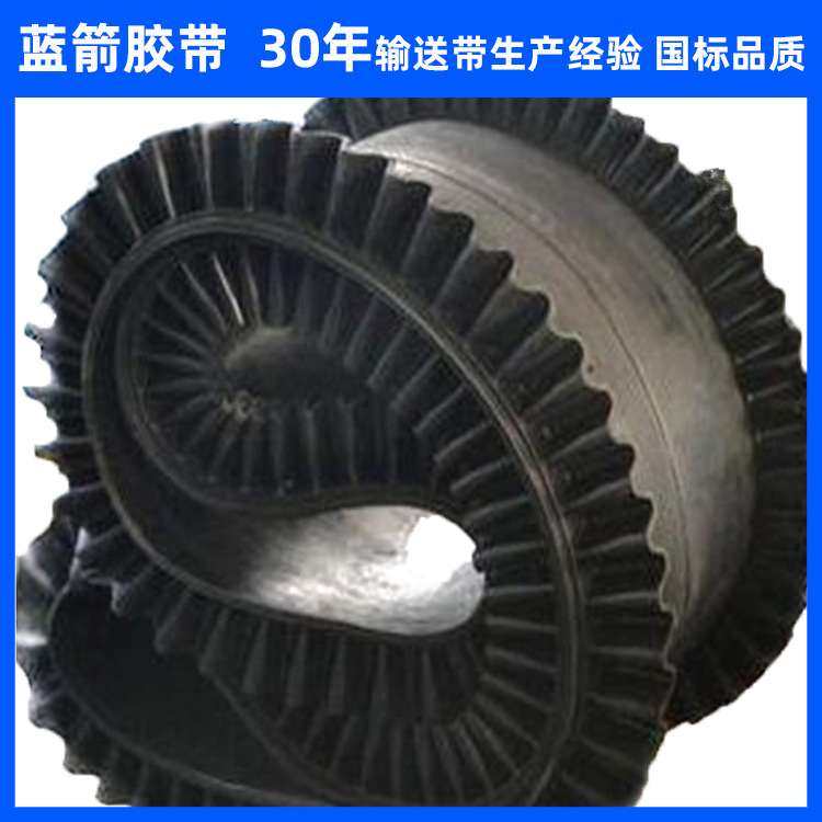 河北蓝箭厂家供应定量给料机计量环形输送带 挡板裙边输送带,3C数码配件,其它配件,淘宝优惠券,粉丝福利购,淘宝优惠卷