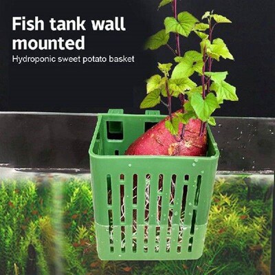 Plastic Aquarium Hooks Planter Cups Planter Baskets Hanging