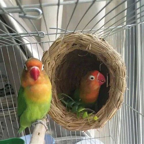 1pc Natural Handmade Straw Bird Nest Pigeon House Parrot