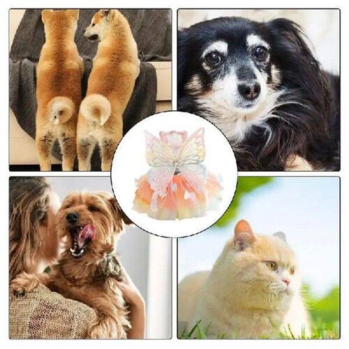Pet Princess Dress Rainbow Butterfly Clothes For Cats And