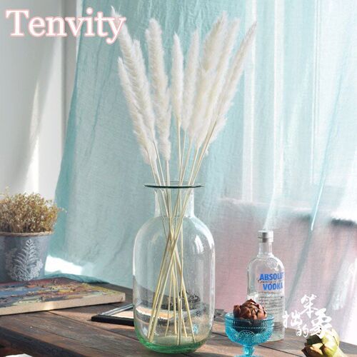 Bulrush Natural Dried Flowers Artificial Plants Branch Color