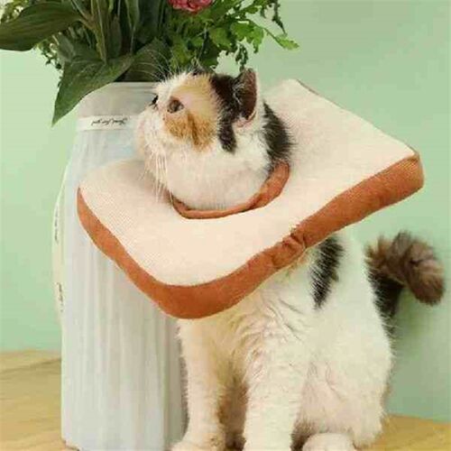 Cats Recovery Collar Toast Shaped Cone Cats Head Leg Wound