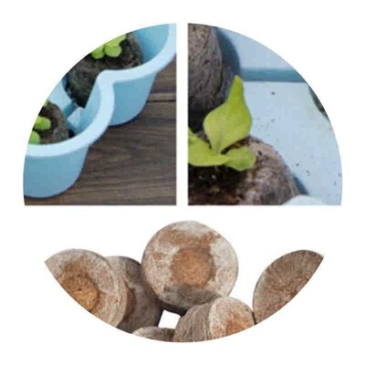 20 Cells Seedling Trays Seed Starter Box Plant Flower Grow