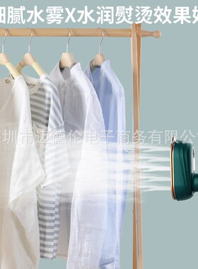 Handheld Steamer Fast-Heat Steam Iron Ironing Machine 电熨斗