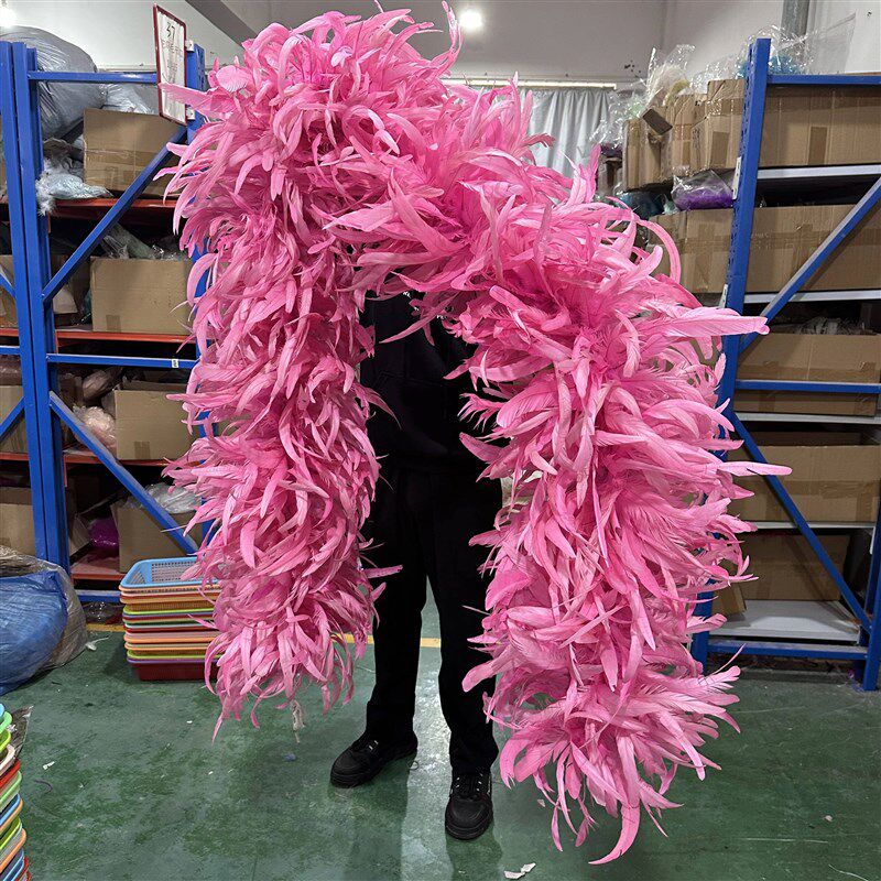 1/2/3Yards 25-30cm Rooster Feather Boa Pink Chicken Tail Fea图片