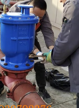 CRX-10复合式清水排气 复合式排气DN 32    100 1