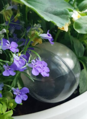 5pcs Automatic Plant Self Watering Water Feeder Plastic PVC