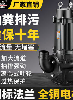 【国标】名磊潜水污水泵220V化粪池抽粪排污380V高扬程无堵塞抽水