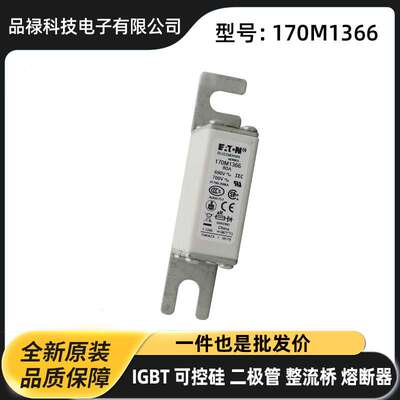 原装陶瓷熔断器 保险丝 170M6162 170M6163 170M6164 170M6165