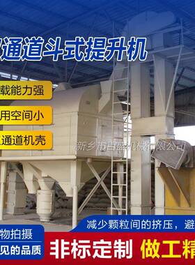现货双通道斗式提升机生产厂家TD/TH/NE型双通道斗提机物料提升机