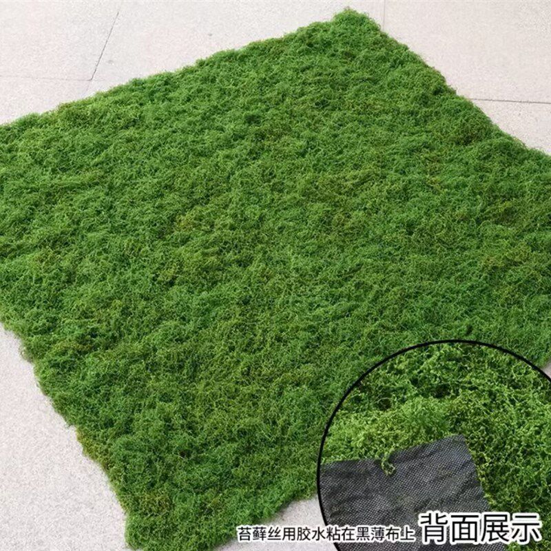 不掉色不掉渣不褪颜色苔藓草皮微景观装饰植绒假苔藓仿真青苔盆景