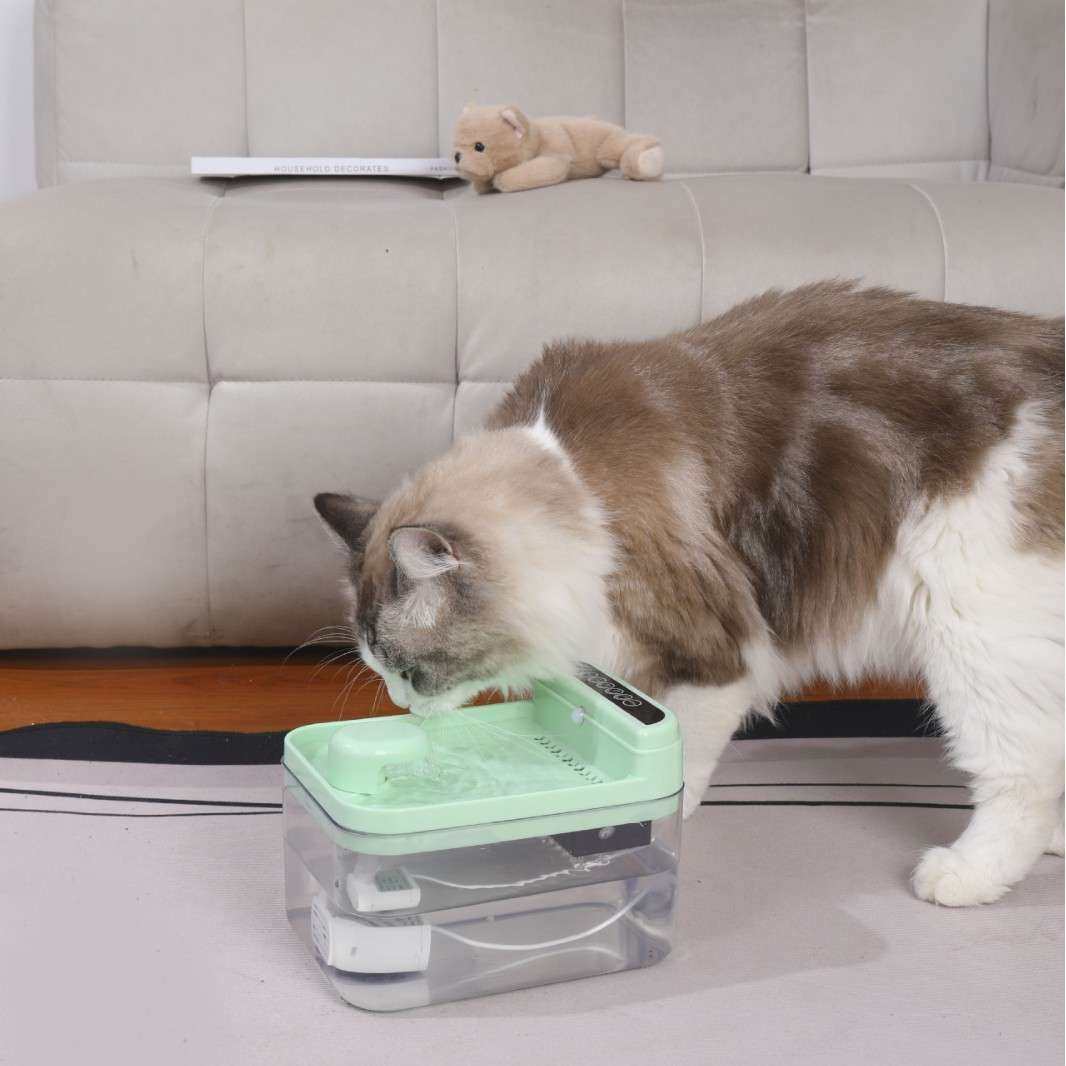 宠物智能饮水机自动饮水器喂水碗猫咪循环智能感应静音流动饮水器,3C数码配件,其它配件,淘宝优惠券,粉丝福利购,淘宝优惠卷