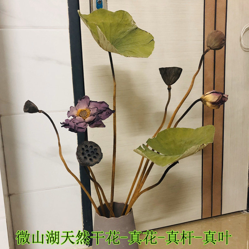 干花束装饰莲蓬真荷花苞木莲花天然原杆插花客厅摆设家居拍摄花束