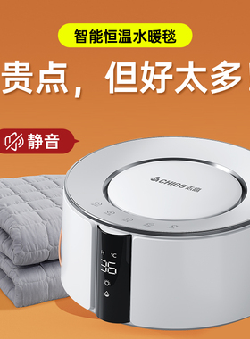 水暖电热毯2024新款冬季双人水循环家用电褥子水暖炕床260d21+A